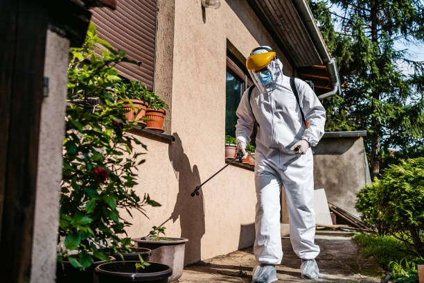 Best Best Pest Control Companies  in Columbus, NM
