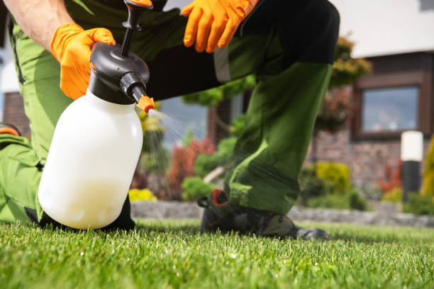 Best Affordable Pest Control Services  in Columbus, NM