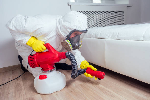 Best Pest Removal Services  in Columbus, NM