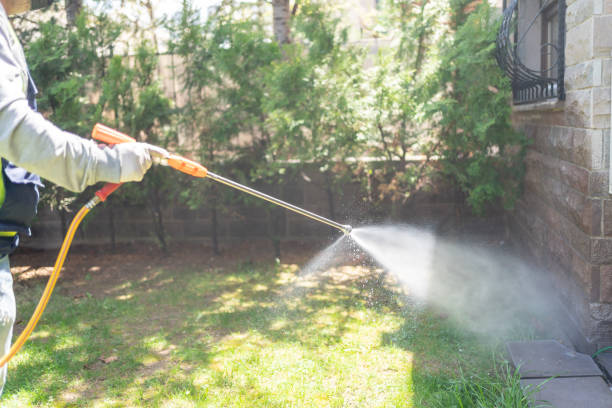Best Wildlife Control Services  in Columbus, NM