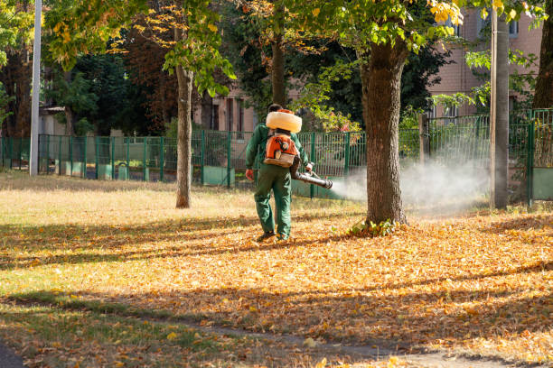 Best Best Pest Control Companies  in Columbus, NM