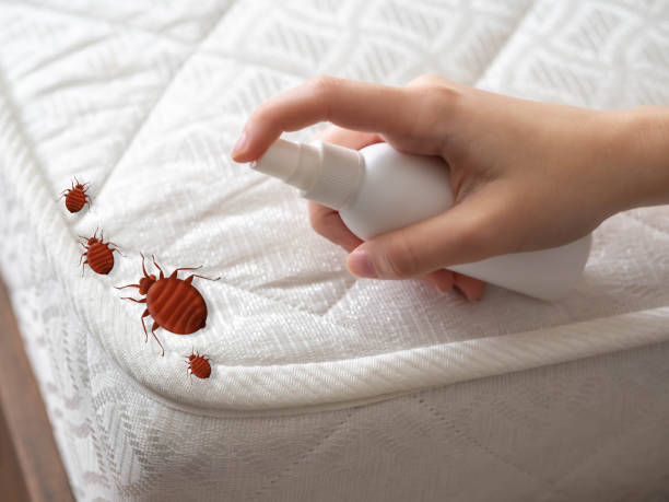 Best Commercial Pest Control Services  in Columbus, NM