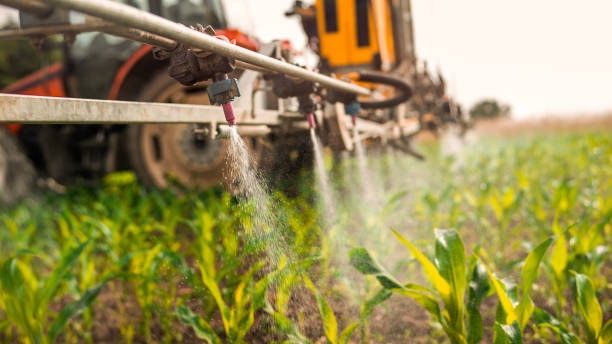 Best Commercial Pest Control Services  in Columbus, NM
